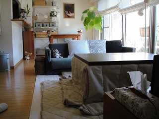 DSC00488.jpg